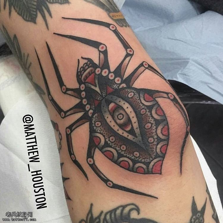 小臂蜘蛛纹身图案