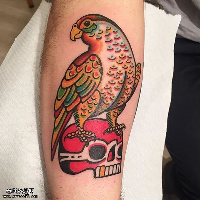小臂鹦鹉纹身图案