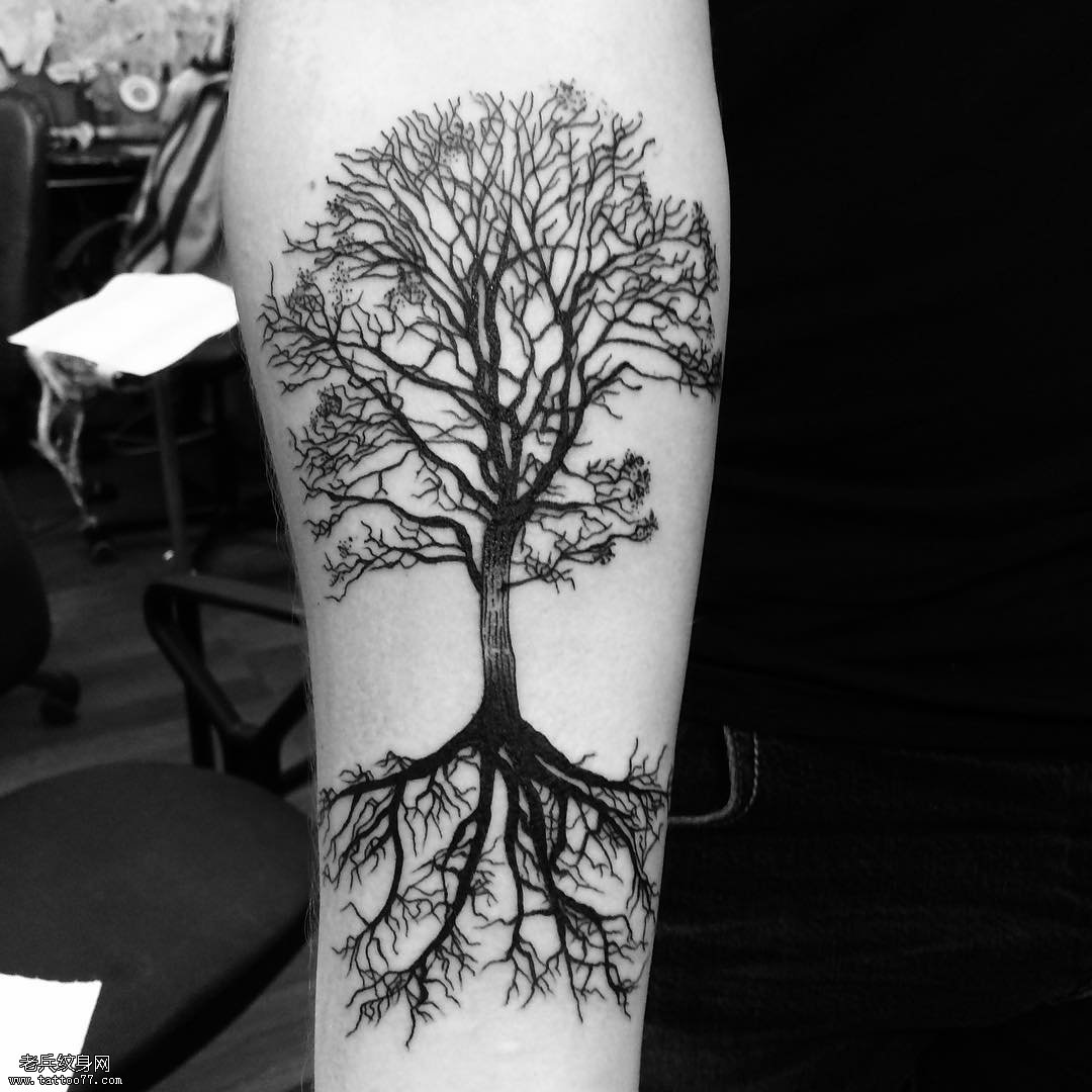 小臂树纹身图案