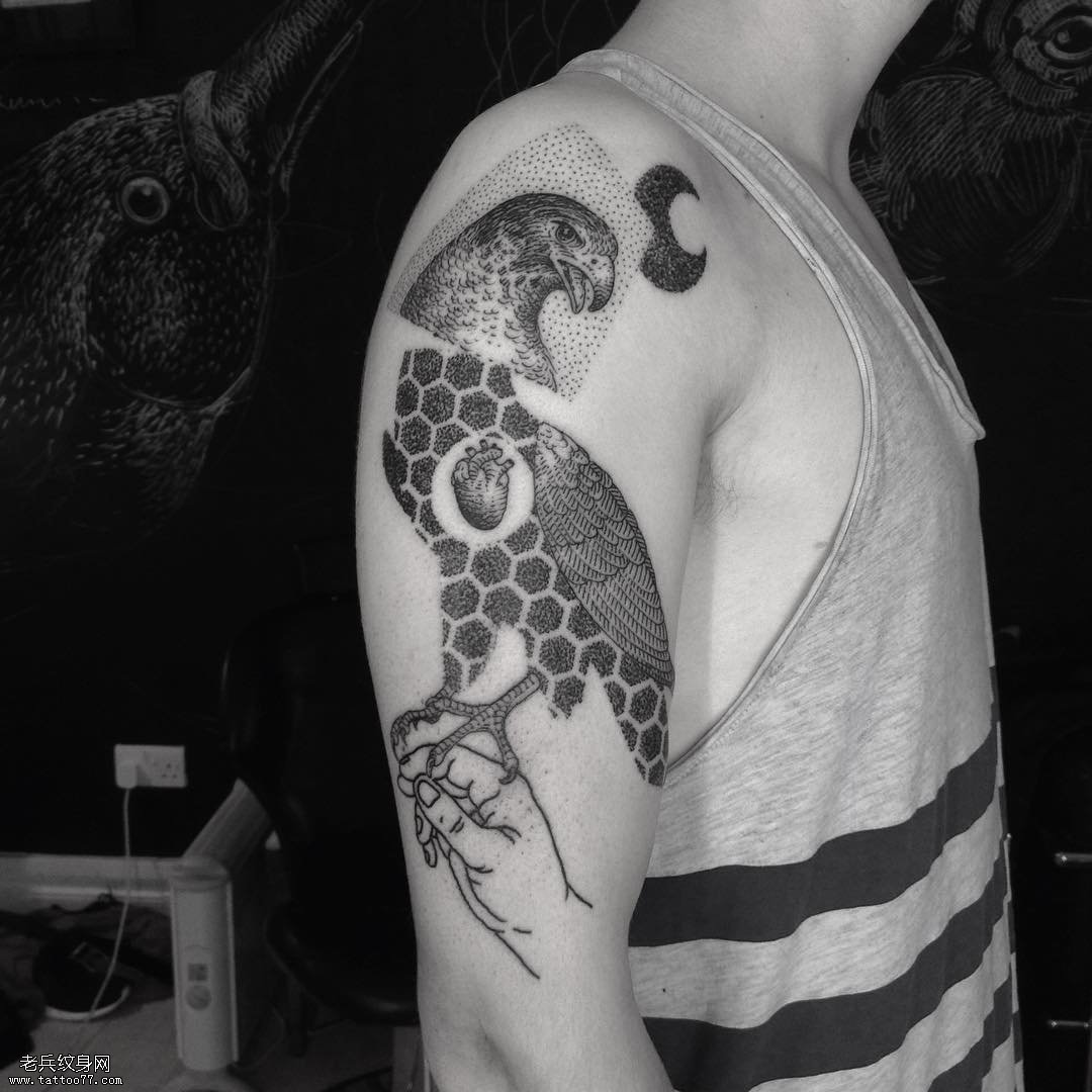 大臂鸟纹身图案