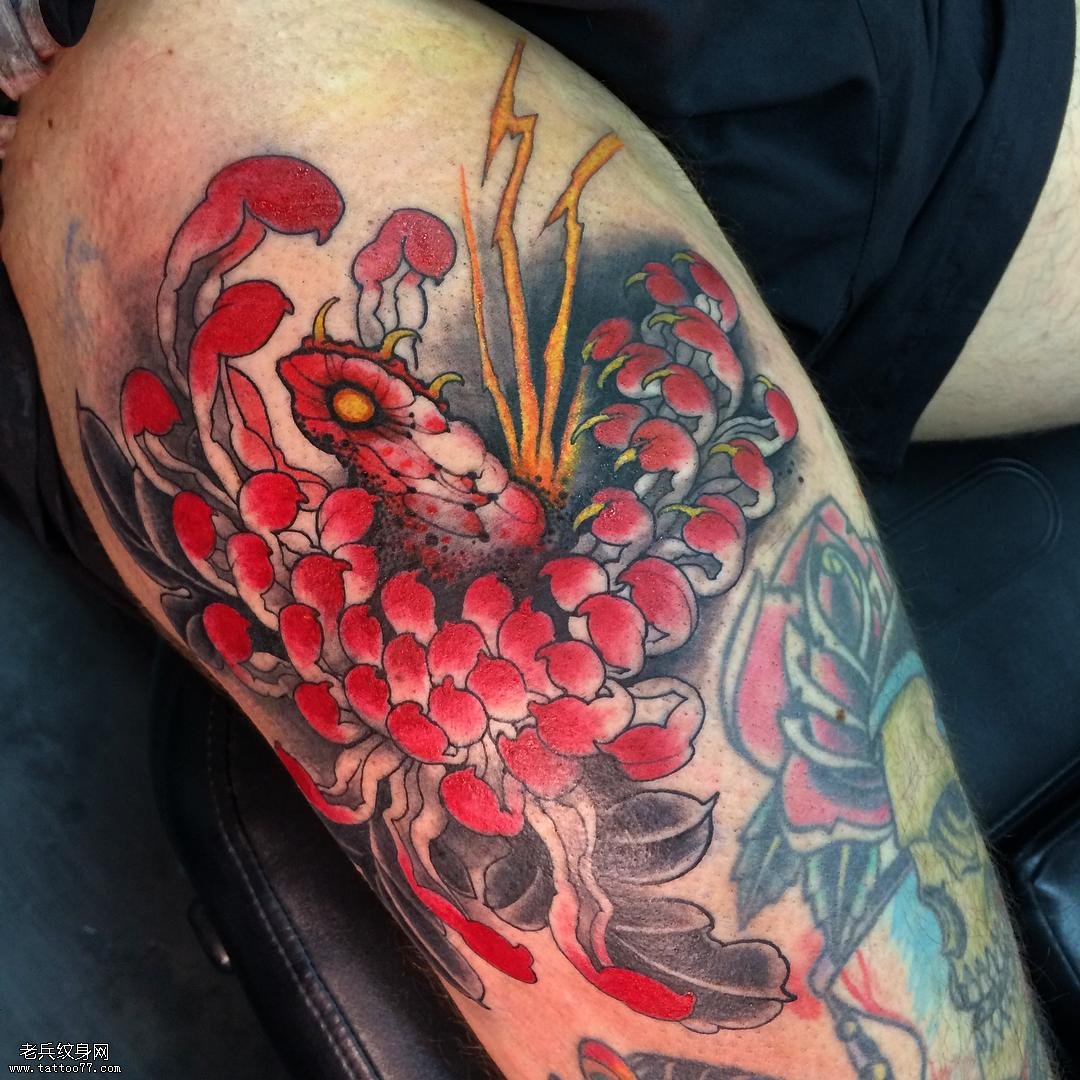 蛇菊花纹身图案