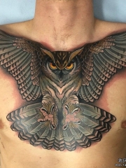 胸部欧美猫头鹰school纹身图案