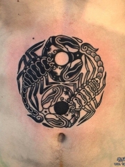 腹部欧美图腾蝎子纹身图案