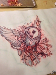 欧美school猫头鹰纹身图案手稿