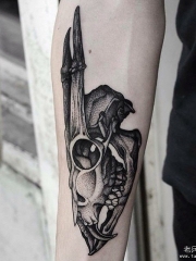 小臂黑灰骷髅鹿头纹身图案
