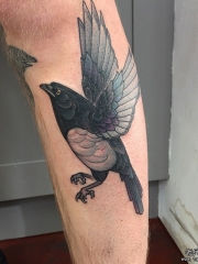 小腿欧美school鸟黑灰纹身图案