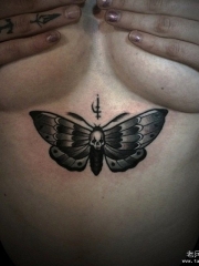 胸部欧美school飞蛾纹身图案