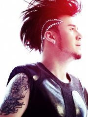 杨坤手臂盾牌图腾纹身图案