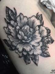 侧腰欧美黑灰花卉纹身图案