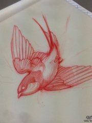 欧美school小鸟纹身图案手稿