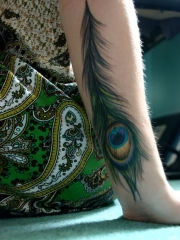手臂彩色孔雀羽毛纹身图片