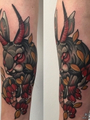 小臂欧美兔子鹿角school纹身图案