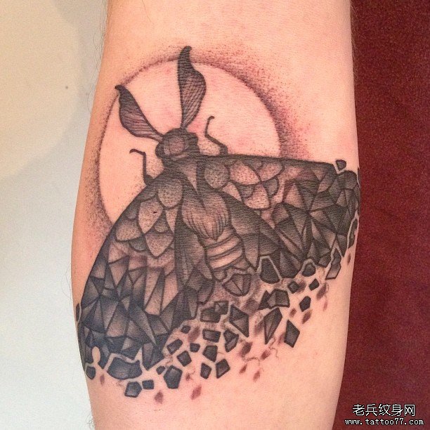 小臂欧美school点刺飞蛾纹身图案