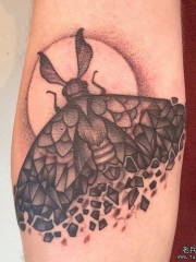 小臂欧美school点刺飞蛾纹身图案