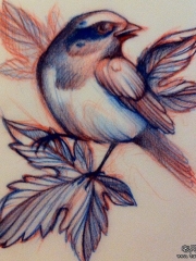 欧美school鸟树叶小清新纹身图案手稿