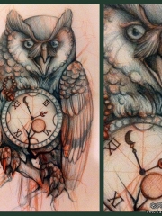 欧美school猫头鹰钟表纹身图案手稿