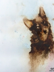 欧美泼墨狼纹身图案手稿