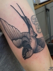 大臂欧美黑灰燕子纹身图案