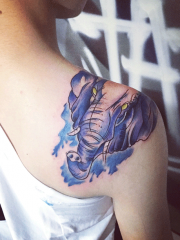 美女披肩蓝色大象纹身图案