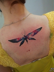 背部欧美星空蜻蜓纹身图案