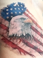 彩色老鹰纹身和美国国旗纹身腰部男性超威猛纹身图片