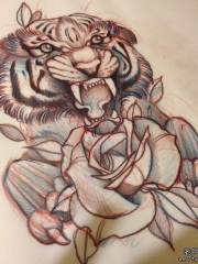 欧美school老虎玫瑰纹身图案手稿