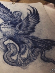 欧美老鹰蛇纹身图案手稿