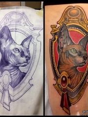 小臂欧美无毛猫宝石school纹身图案