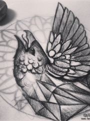 欧美school鸟几何纹身图案手稿