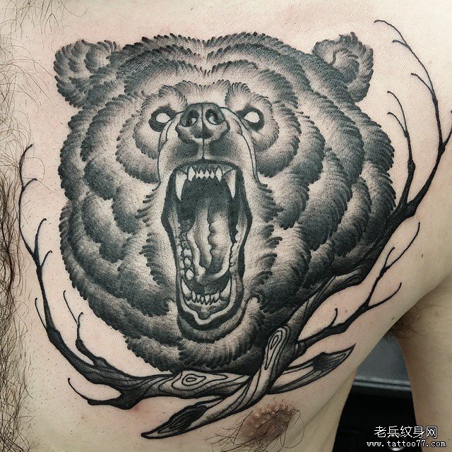 胸部欧美school熊头纹身图案