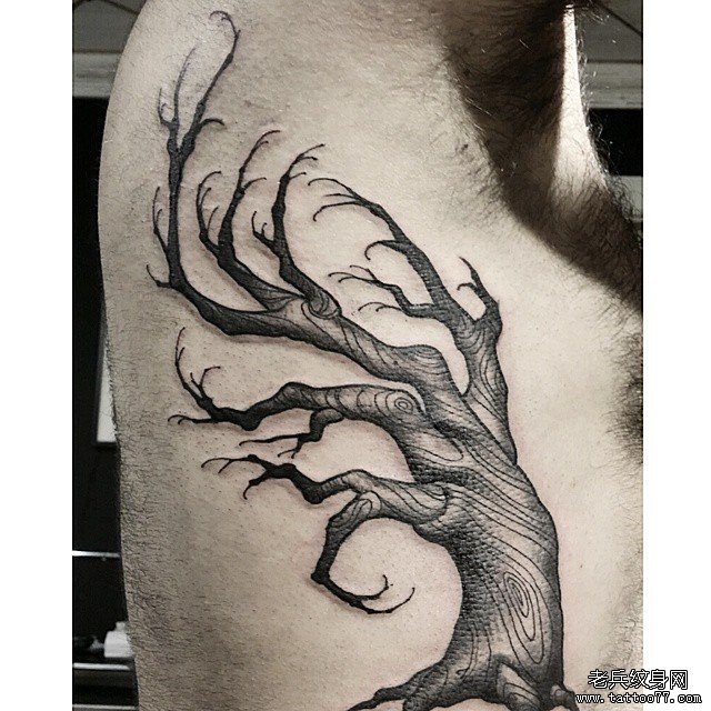 侧腰欧美暗黑系树木纹身图案
