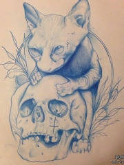 欧美school无毛猫骷髅纹身图案手稿
