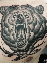 胸部欧美school熊头纹身图案