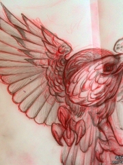 欧美school老鹰纹身图案手稿