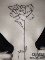 胸部性感小清新线条花卉纹身图案