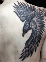背部school精致的乌鸦纹身图案