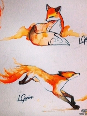 欧美狐狸泼墨彩绘纹身图案手稿