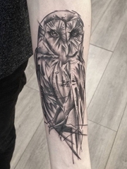 手小臂膀素描风格猫头鹰纹身图片