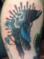 小腿欧美school鸟骷髅纹身图案