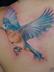 背部彩色school小鸟纹身图案