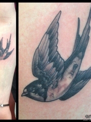 小臂欧美school燕子黑灰纹身图案