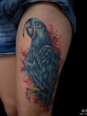 大腿性感school鹦鹉泼墨纹身图案