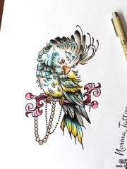 欧美school彩色鹦鹉纹身图案手稿