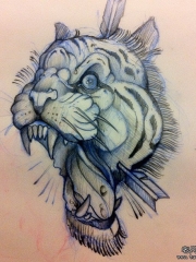 欧美school老虎箭纹身图案手稿