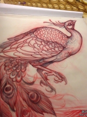 欧美school孔雀纹身图案手稿