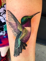 一组漂亮女孩身上的可爱的小蜂鸟纹身图案