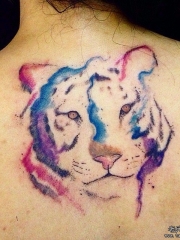 背部欧美泼墨老虎头像纹身图案