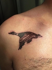 男性肩膀上黑灰色鸭子纹身动物图片