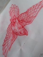 欧美school鸟纹身图案手稿