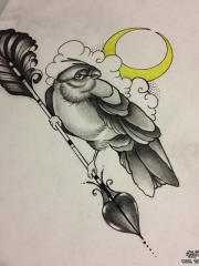 欧美school鸟月亮纹身图案手稿